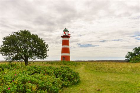 fyrar på gotland|Millas hälsoblogg: Fyrar på Gotland